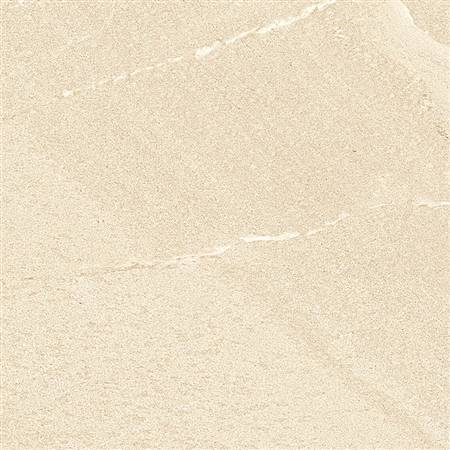 DT60S1681 (6)