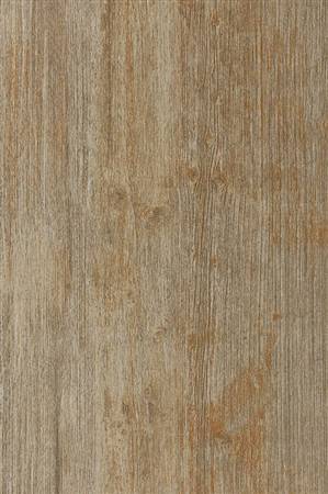 DT69M1641 (1)